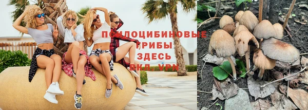 гидропоника Баксан