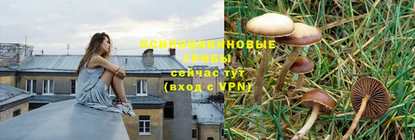 МДМА Белокуриха