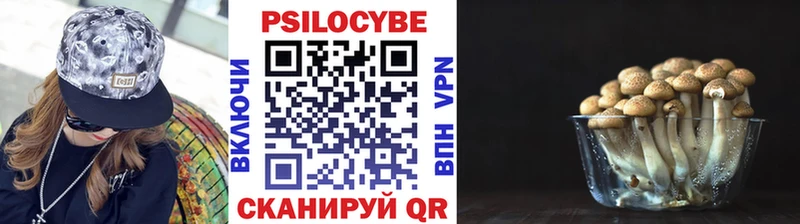 Галлюциногенные грибы Magic Shrooms  Минеральные Воды 